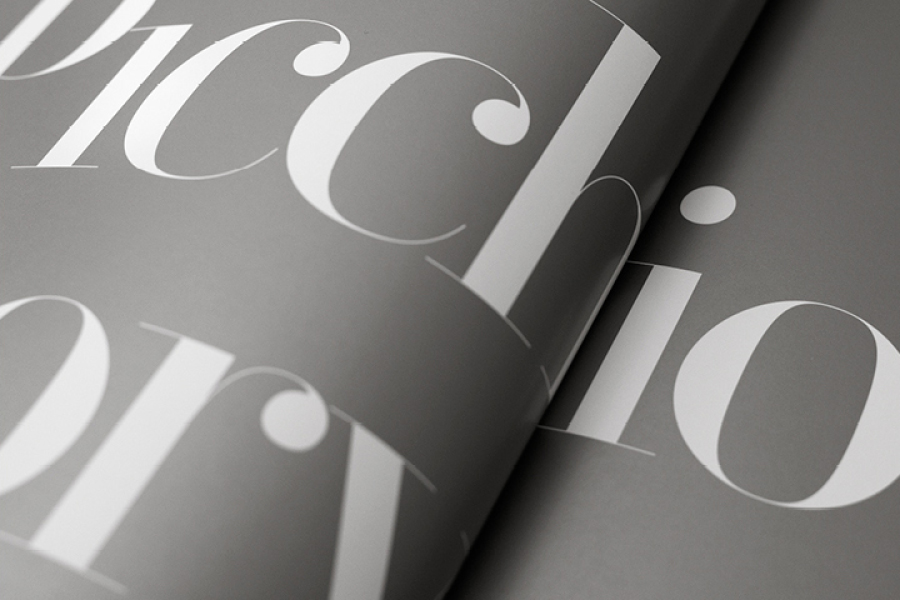 Chic Neoclassical serif type with hairline strokes and vertical stress in white on silver